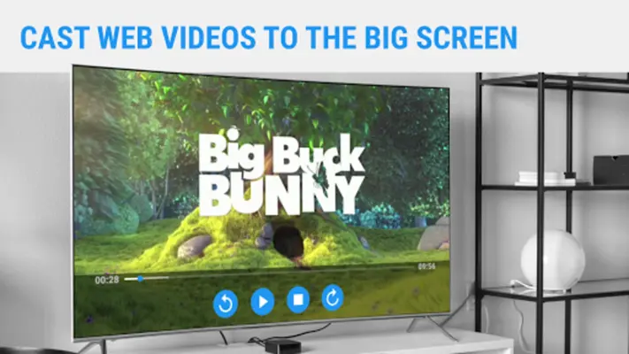 Web Video Caster Receiver android App screenshot 4